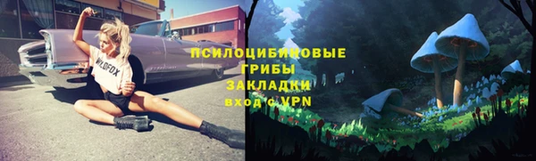 PSILOCYBIN Елизово