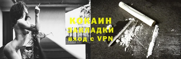 соль ск Няндома