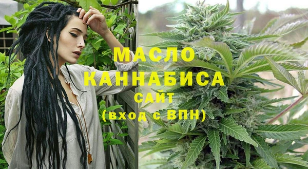 соль ск Няндома