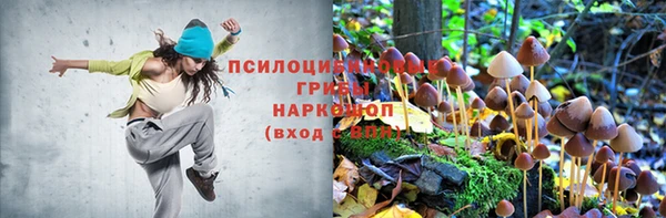 гашишное масло Новокубанск