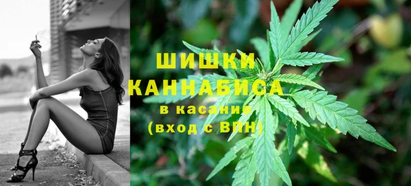 дурь Нягань