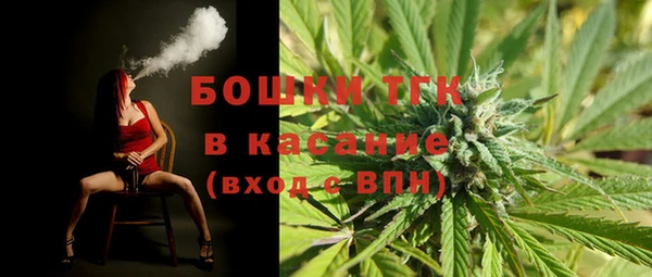 соль ск Няндома