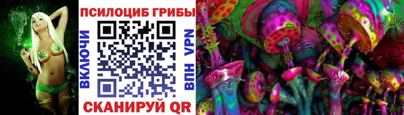 площадка наркотические препараты купить закладку Киселёвск Псилоцибиновые грибы ЛСД